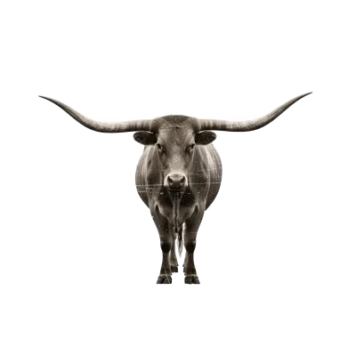 Imagen PNG para descargar